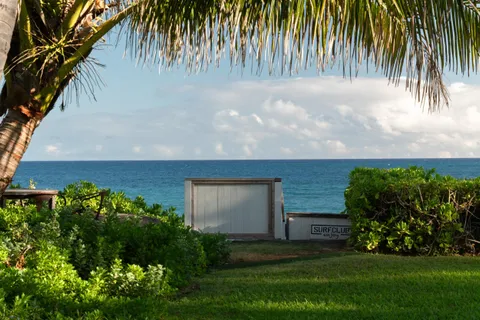 a view of a backyard