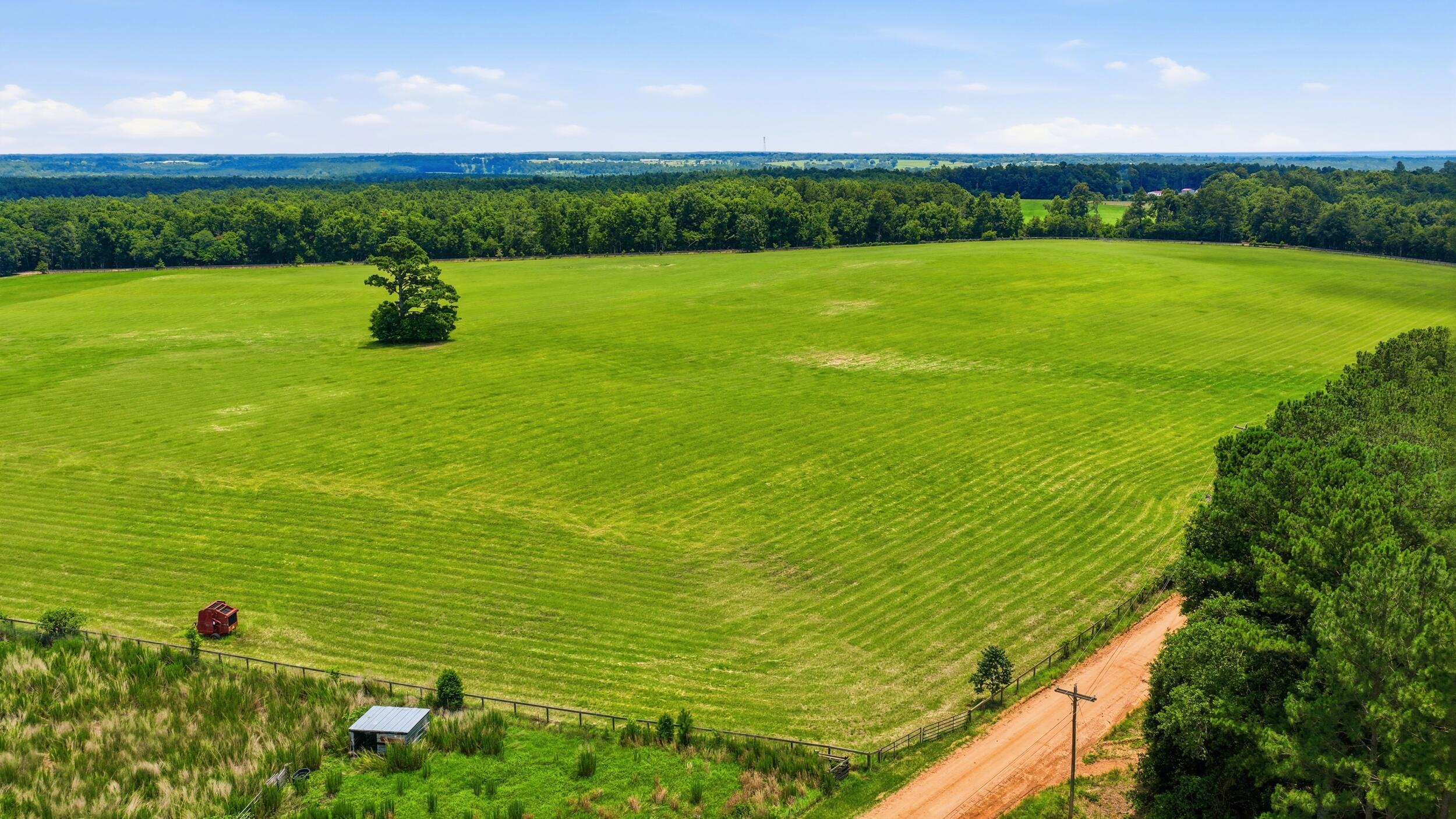 0 Bodie Road Wagener, SC 29164 - Photo 9 of 21