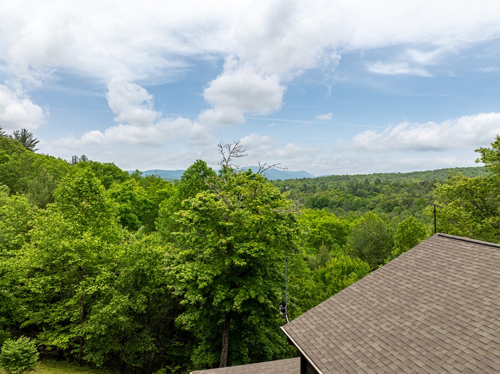 32 Grice Woods Road Blue Ridge, GA 30513 - Photo 5 of 65 Gallery Image 5