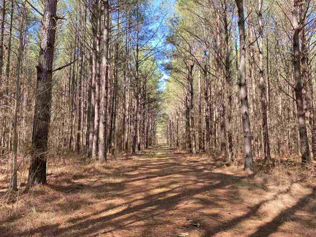 0 Eastern Road Pickens, MS 39146 - Photo 23 of 47 Photo 26