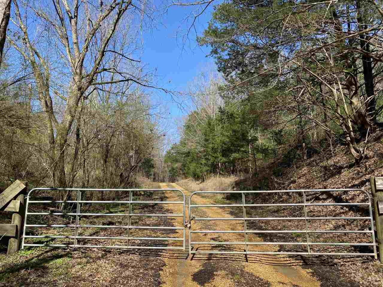 0 Eastern Road Pickens, MS 39146 - Photo 26 of 47 Photo 29