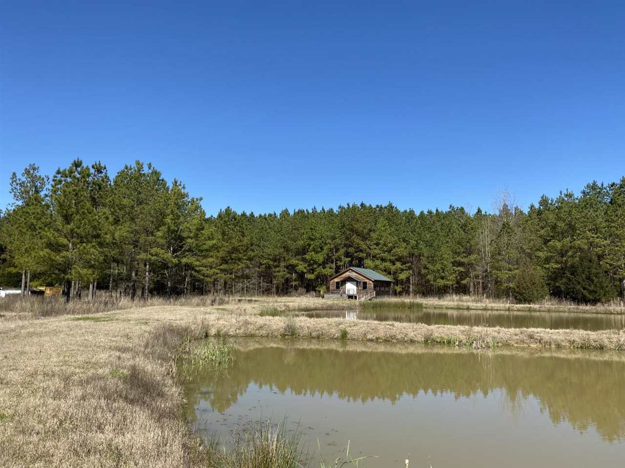 0 Eastern Road Pickens, MS 39146 - Photo 27 of 47 Photo 30