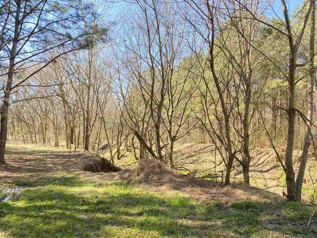0 Eastern Road Pickens, MS 39146 - Photo 28 of 47 Photo 31