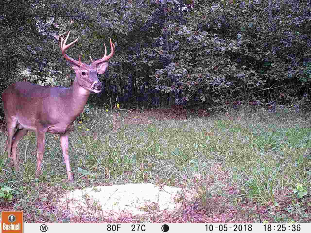 0 Eastern Road Pickens, MS 39146 - Photo 32 of 47 Photo 35