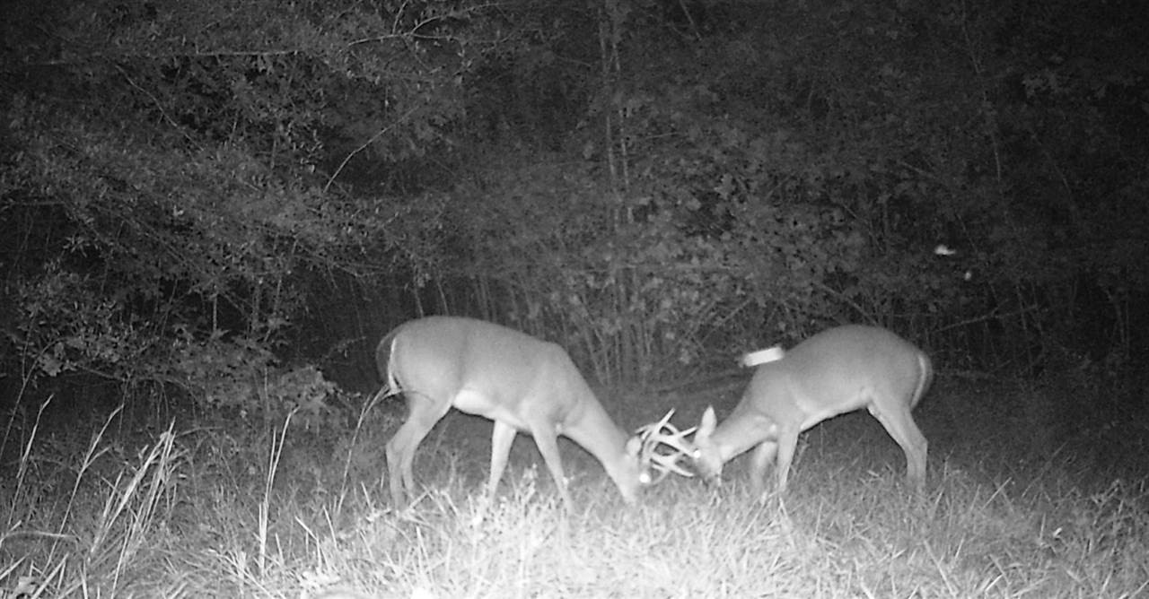 0 Eastern Road Pickens, MS 39146 - Photo 33 of 47 Photo 36