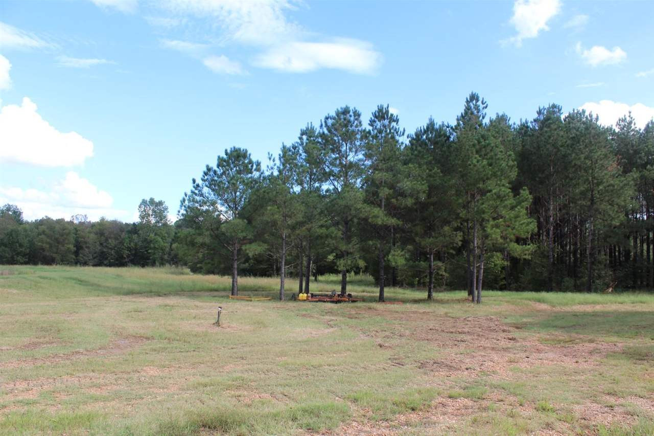 0 Eastern Road Pickens, MS 39146 - Photo 34 of 47 Photo 37
