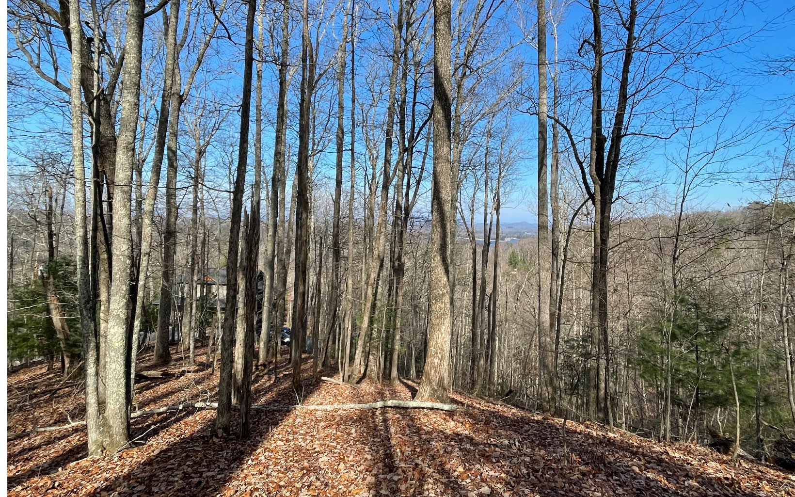 2.4 Green Ridge Road Blue Ridge, GA 30513 - Photo 21 of 28 Additional View