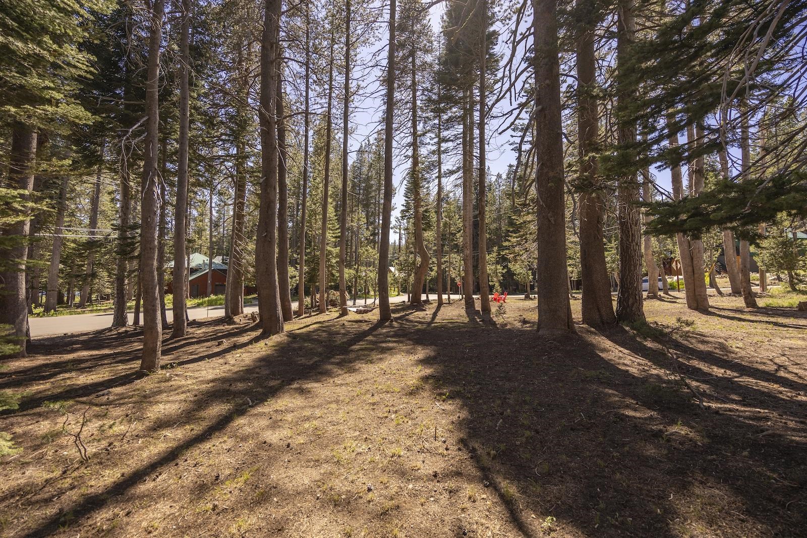 5012 Serene Road Soda Springs, CA 95728 - Photo 14 of 18