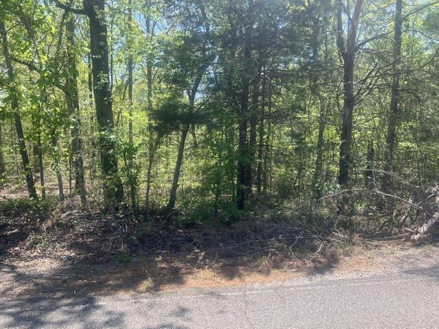 Hines Gin Road Selmer, TN 38375 - Photo 5 of 6