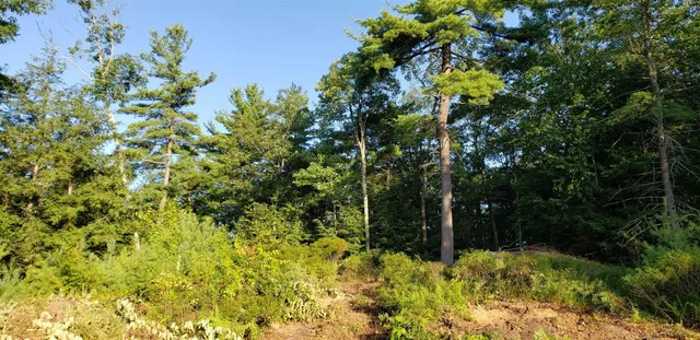 $204,000 | L36 Bear Town Road, Lake Luzerne, NY 12846