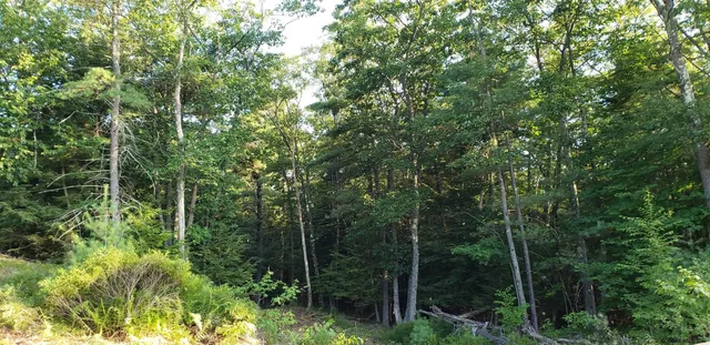 $204,000 | L36 Bear Town Road, Lake Luzerne, NY 12846