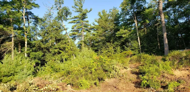 $204,000 | L36 Bear Town Road, Lake Luzerne, NY 12846