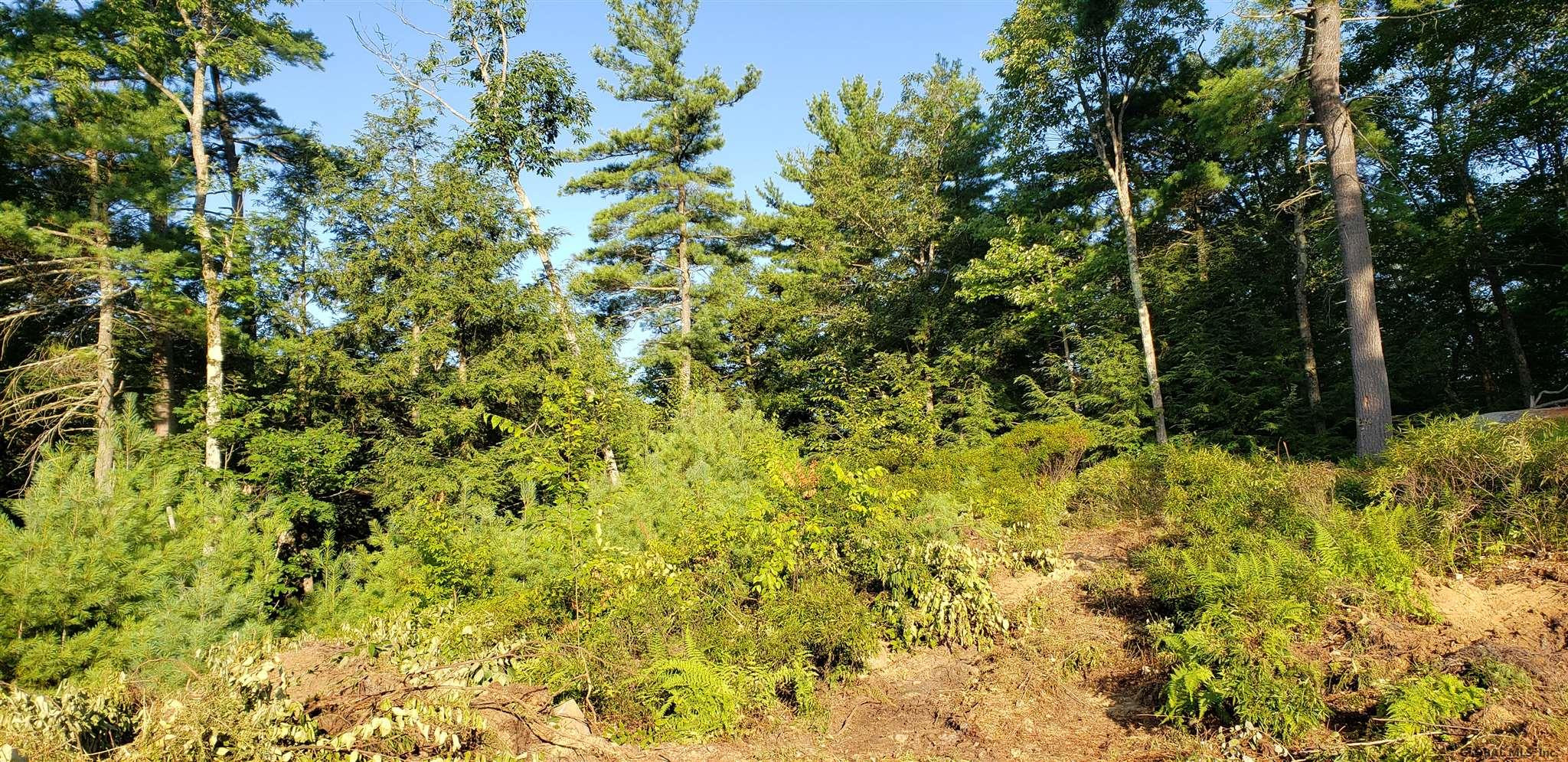 L36 Bear Town Road Lake Luzerne, NY 12846 - Photo 16 of 31 Photo 20