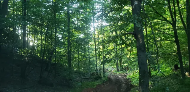 $204,000 | L36 Bear Town Road, Lake Luzerne, NY 12846