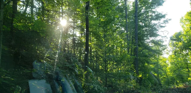 $204,000 | L36 Bear Town Road, Lake Luzerne, NY 12846