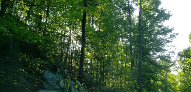 $204,000 | L36 Bear Town Road, Lake Luzerne, NY 12846