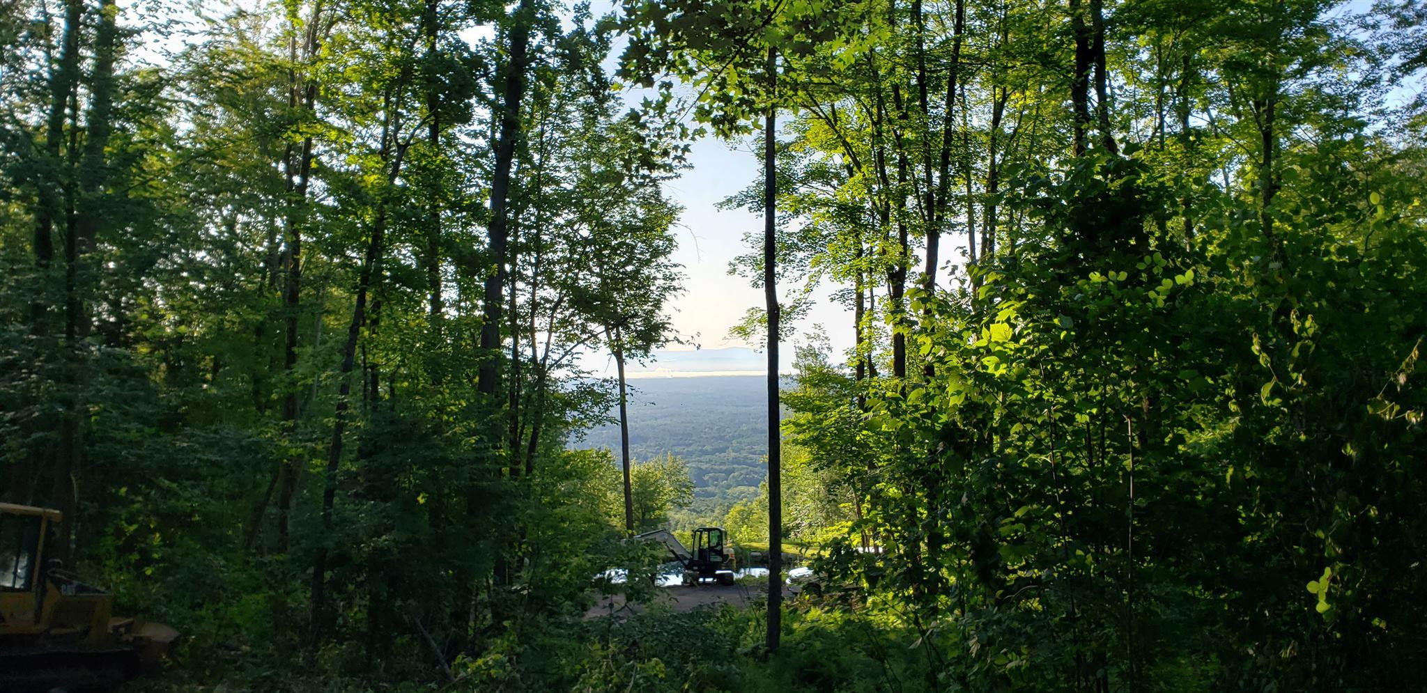 L36 Bear Town Road Lake Luzerne, NY 12846 - Photo 24 of 31 Photo 31