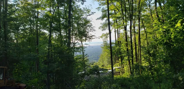 $204,000 | L36 Bear Town Road, Lake Luzerne, NY 12846