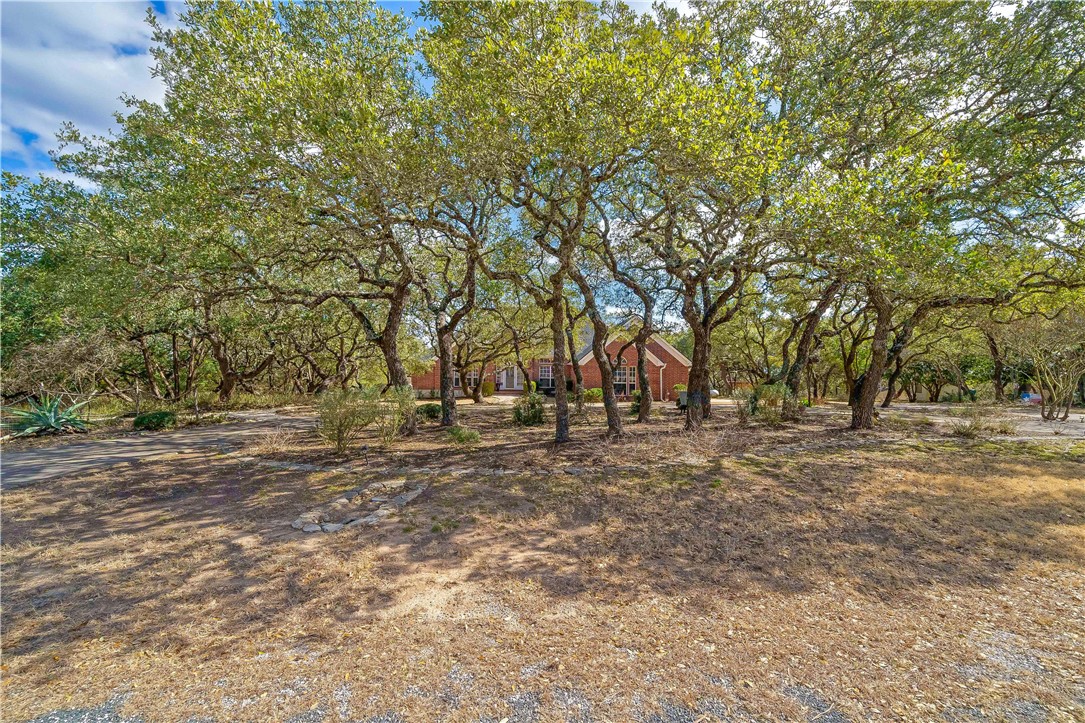 11901 Jess Drive Austin, TX 78737 - Photo 2 of 36 a view of a yard with a tree