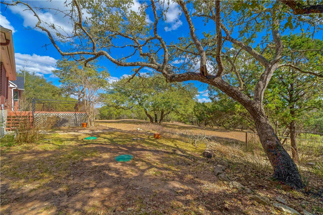 11901 Jess Drive Austin, TX 78737 - Photo 33 of 36 a view of a yard with plants and trees