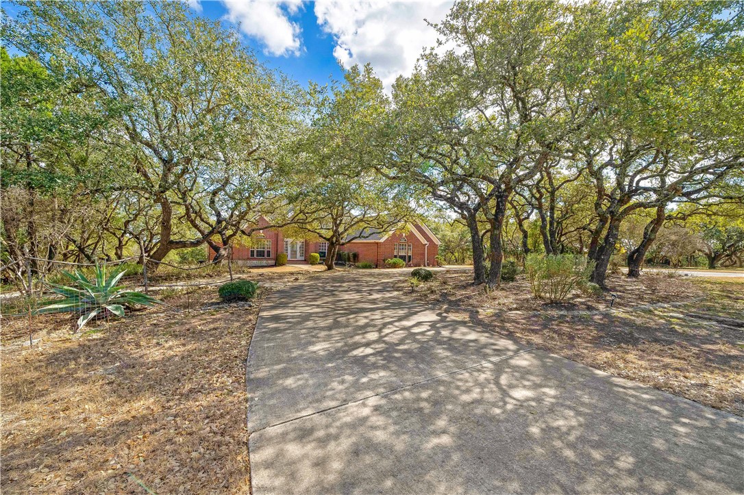 11901 Jess Drive Austin, TX 78737 - Photo 4 of 36 a view of a yard with plants and trees