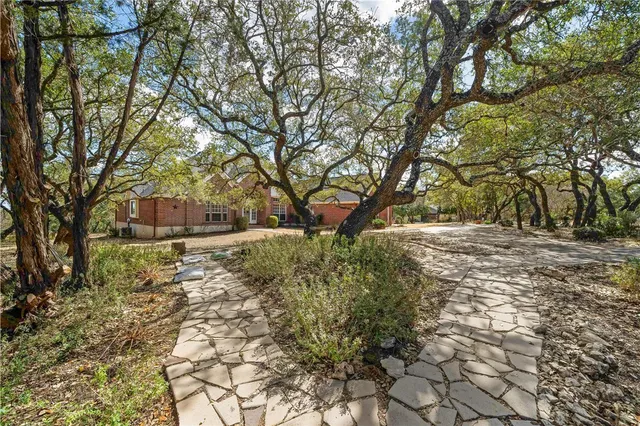 a view of a yard with plants and trees