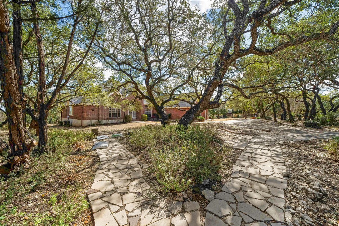 11901 Jess Drive Austin, TX 78737 - Photo 5 of 36 a view of a yard with plants and trees