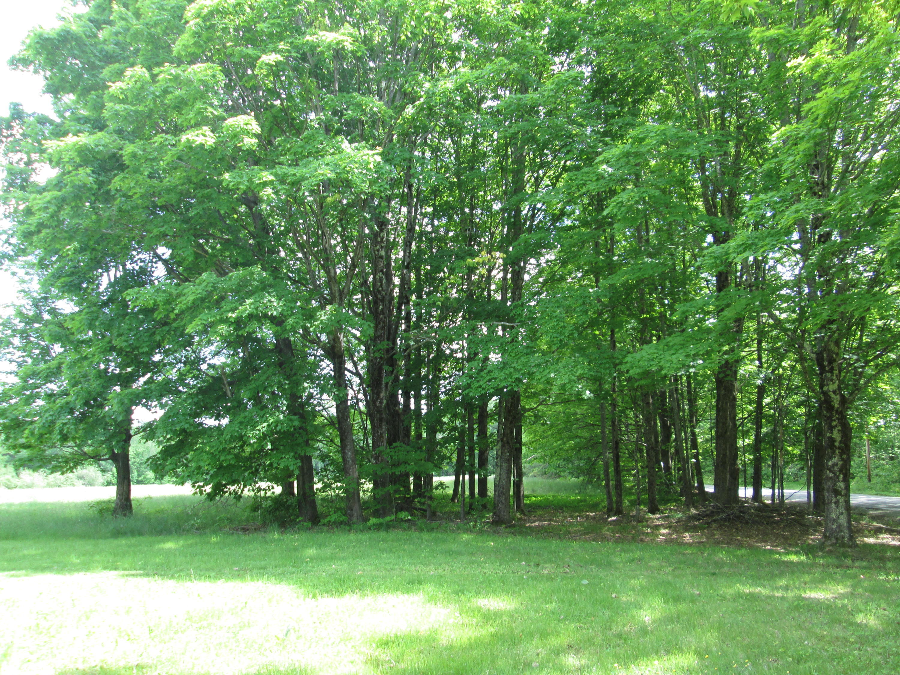 381 Tower Road Vienna, ME 04360 - Photo 2 of 4 IMG_2564