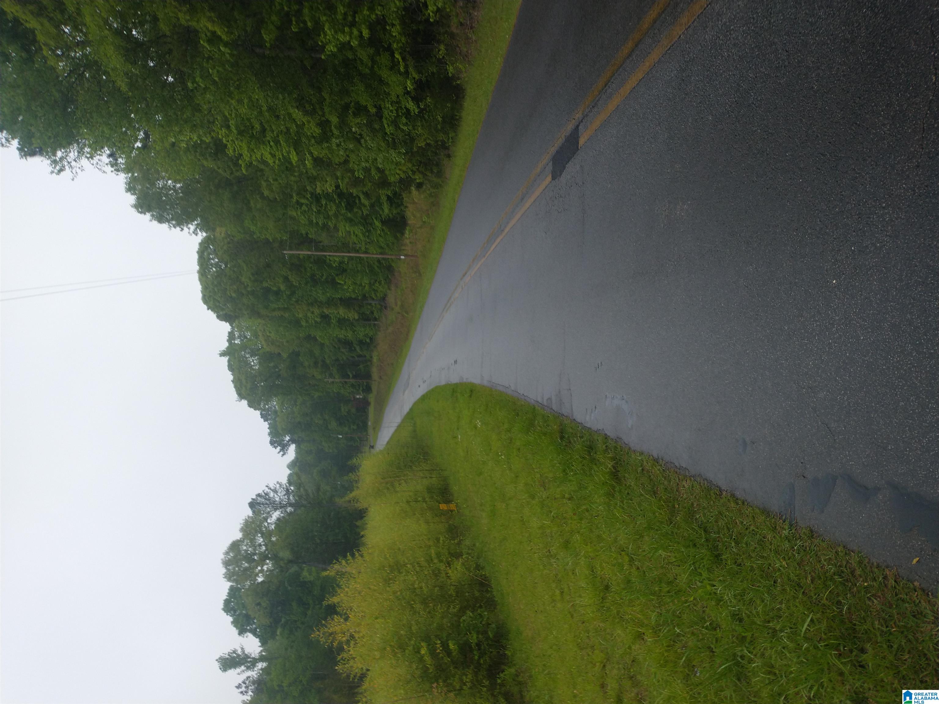 0 Gardner Road, Unit RAW LAND Dadeville, AL 36853 - Photo 3 of 4