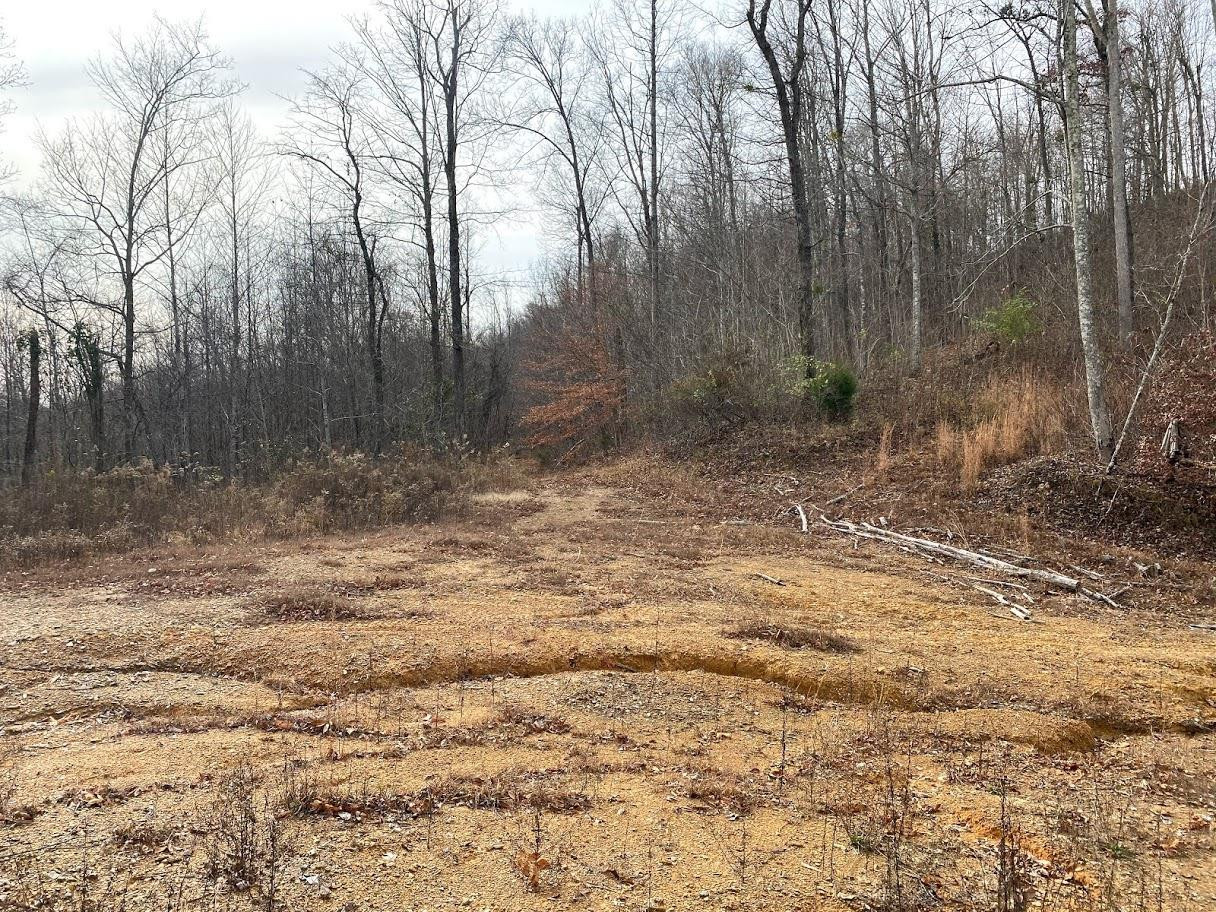 999 Fowler Road Irvine, KY 40336 - Photo 7 of 11 Photo 7