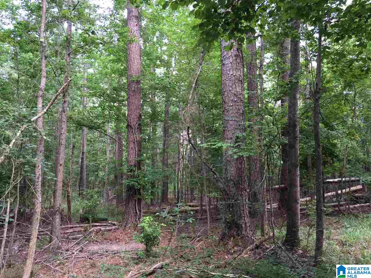 2364 Grants Mill Road Birmingham, AL 35210 - Photo 5 of 17