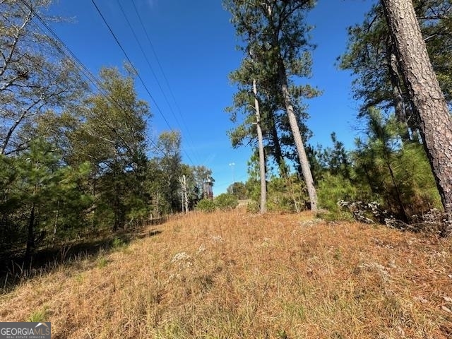 0 Gose Road Forsyth, GA 31029 - Photo 1 of 1 Gallery Image 1