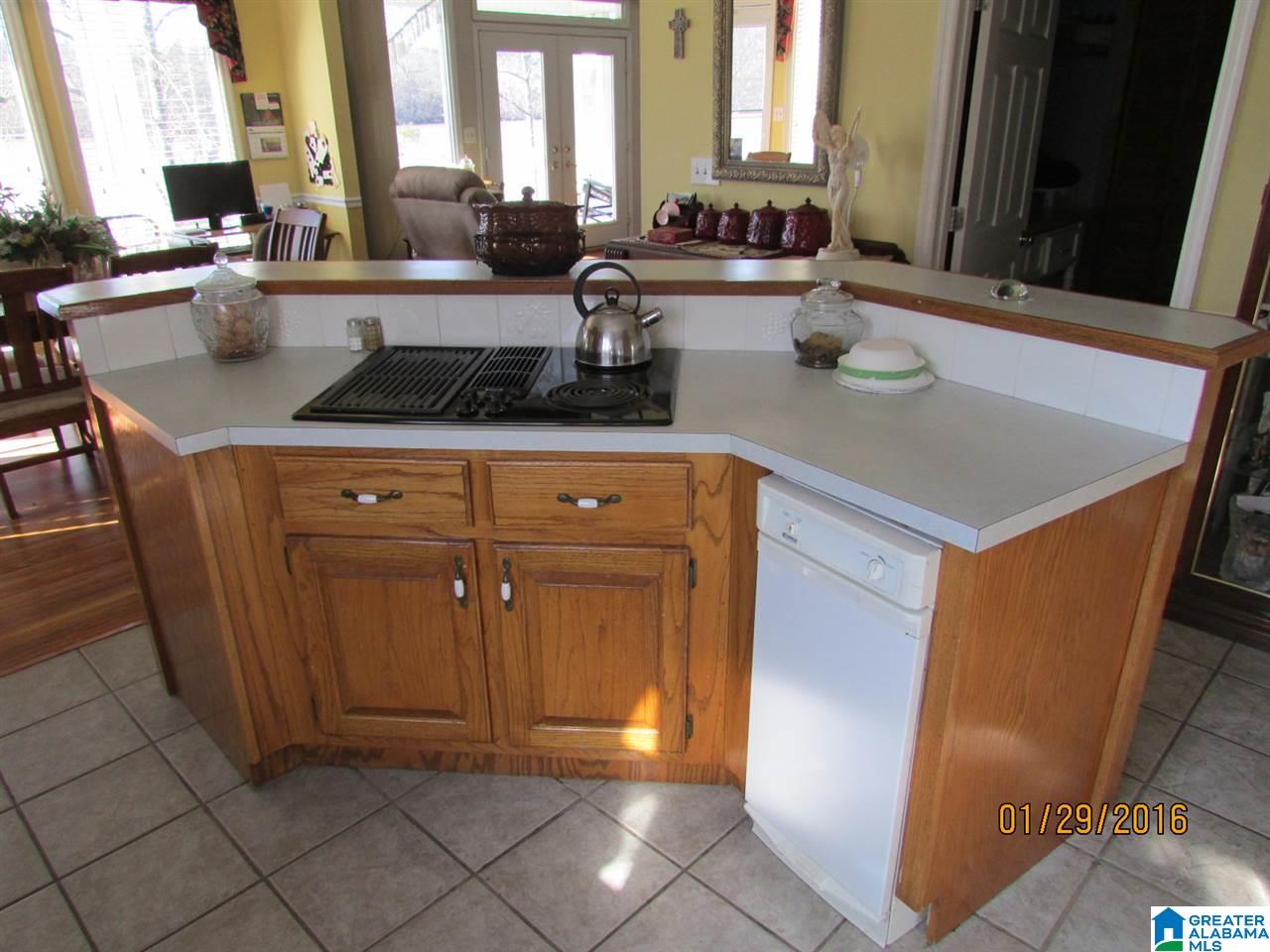 2040 Mohawk Cliff Road Ohatchee, AL 36271 - Photo 14 of 48