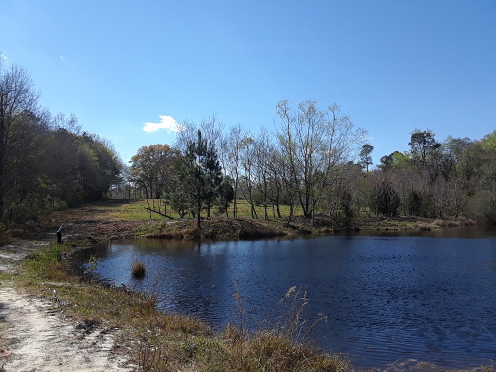 718 J P Jones Road Geneva, AL 36340 - Photo 5 of 6