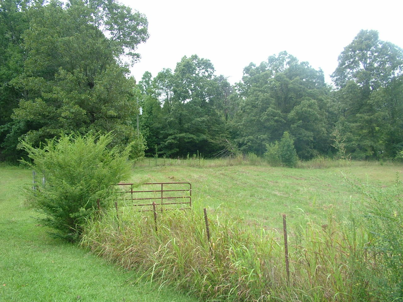 347 County Road, Unit 296 Sweetwater, TN 37874 - Photo 11 of 34 property 7