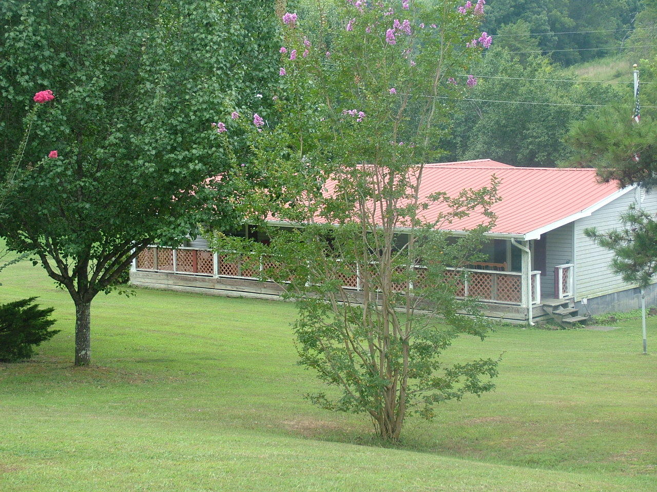 347 County Road, Unit 296 Sweetwater, TN 37874 - Photo 15 of 34 blooming trees on property