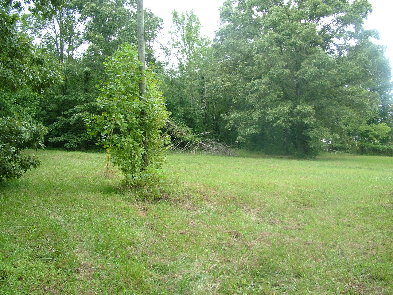 347 County Road, Unit 296 Sweetwater, TN 37874 - Photo 19 of 34 property 9