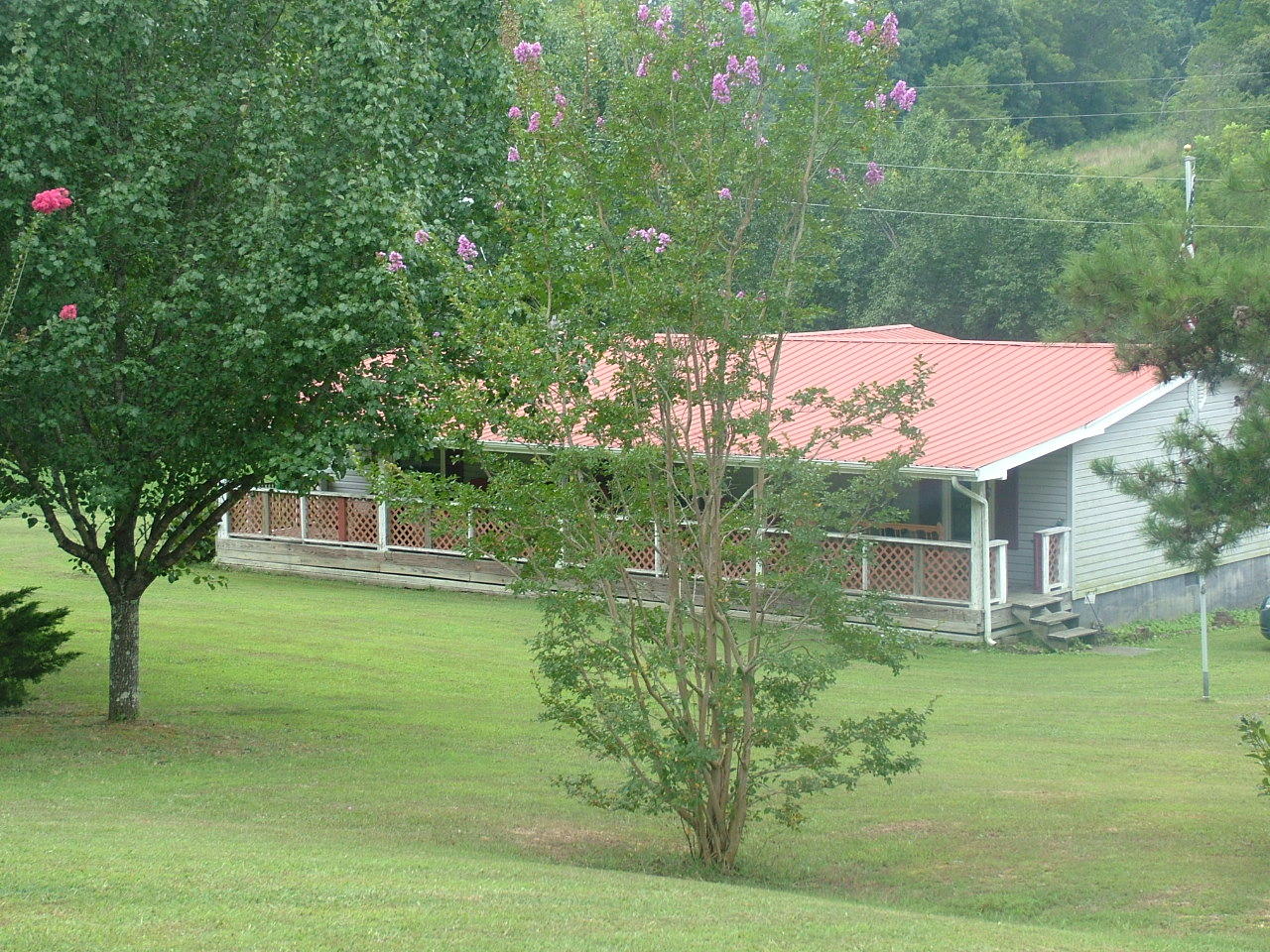 347 County Road, Unit 296 Sweetwater, TN 37874 - Photo 27 of 34 trees on property