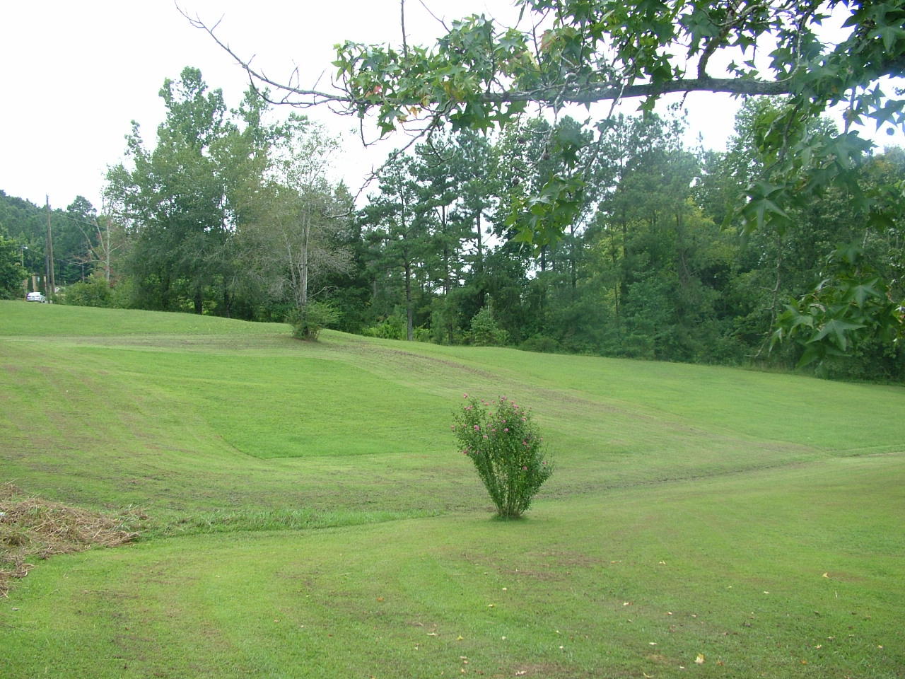 347 County Road, Unit 296 Sweetwater, TN 37874 - Photo 4 of 34 property 2