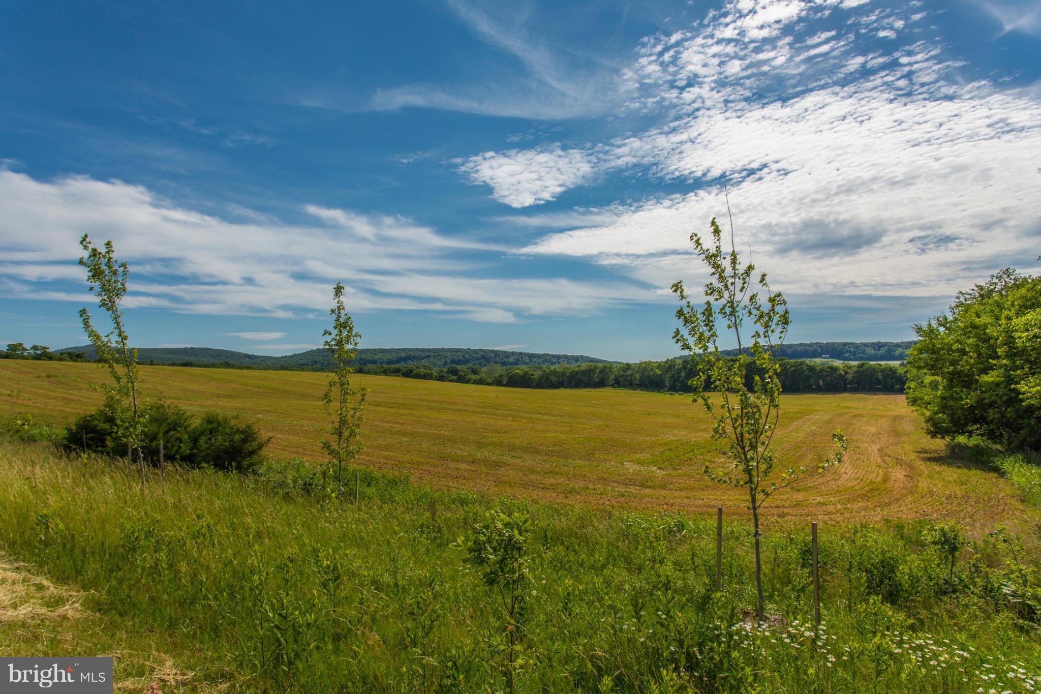 4788 Rohrersville Road Rohrersville, MD 21779 - Photo 2 of 2 a view of an ocean