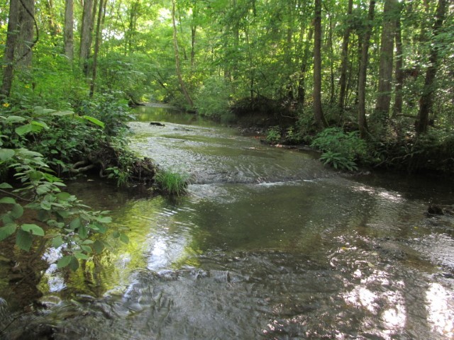 425 Napier Road Hohenwald, TN 38462 - Photo 1 of 5 Gallery Image 1
