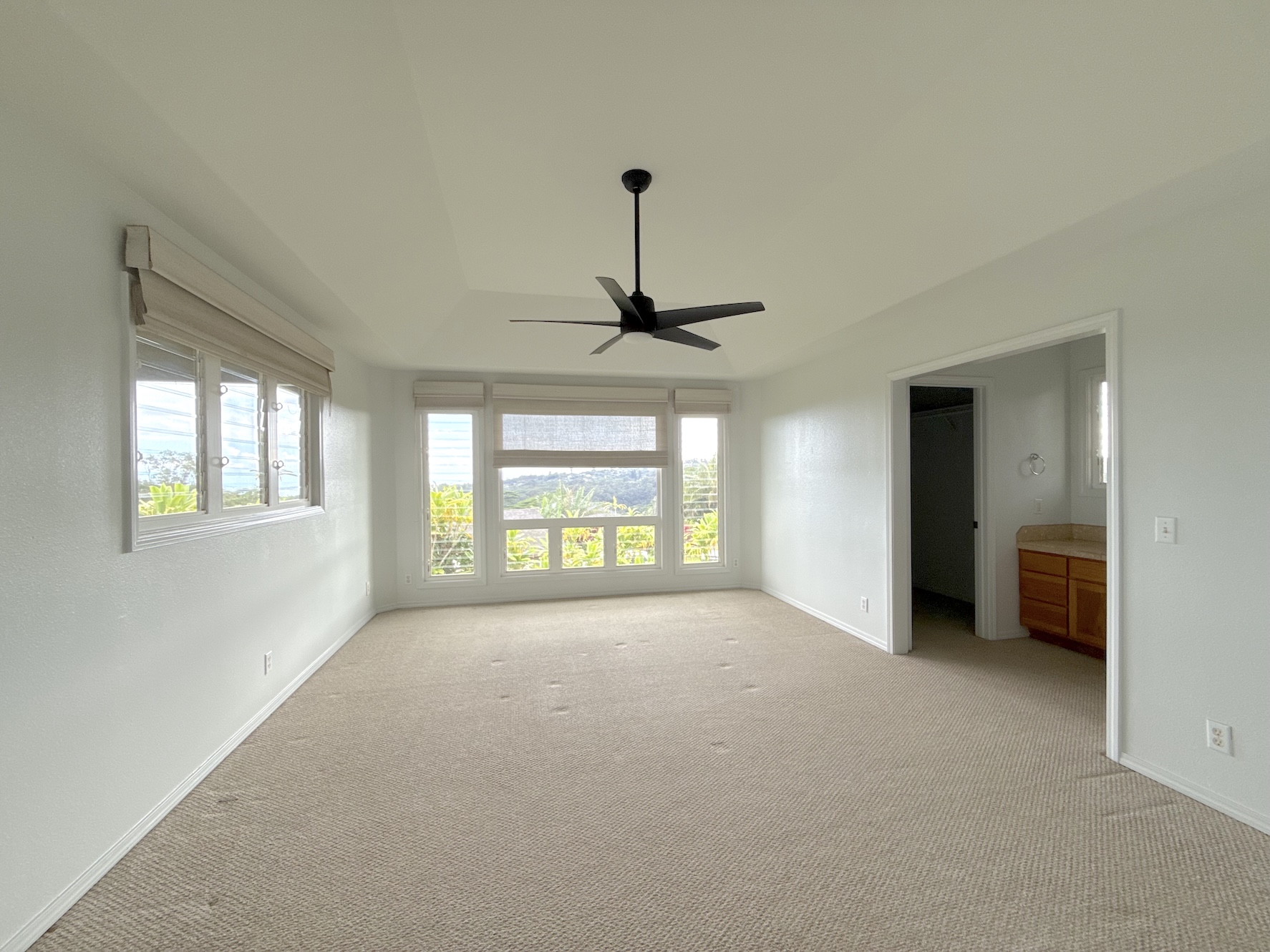 4580 Kuli Road Kalaheo, HI 96741 - Photo 11 of 13