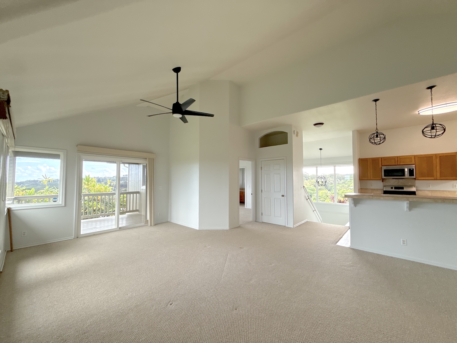 4580 Kuli Road Kalaheo, HI 96741 - Photo 2 of 13