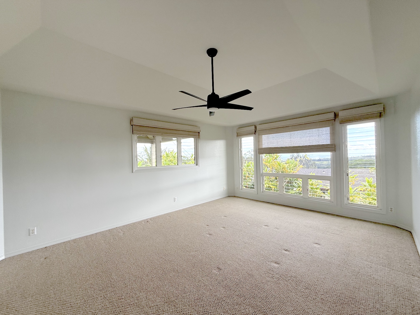 4580 Kuli Road Kalaheo, HI 96741 - Photo 10 of 13