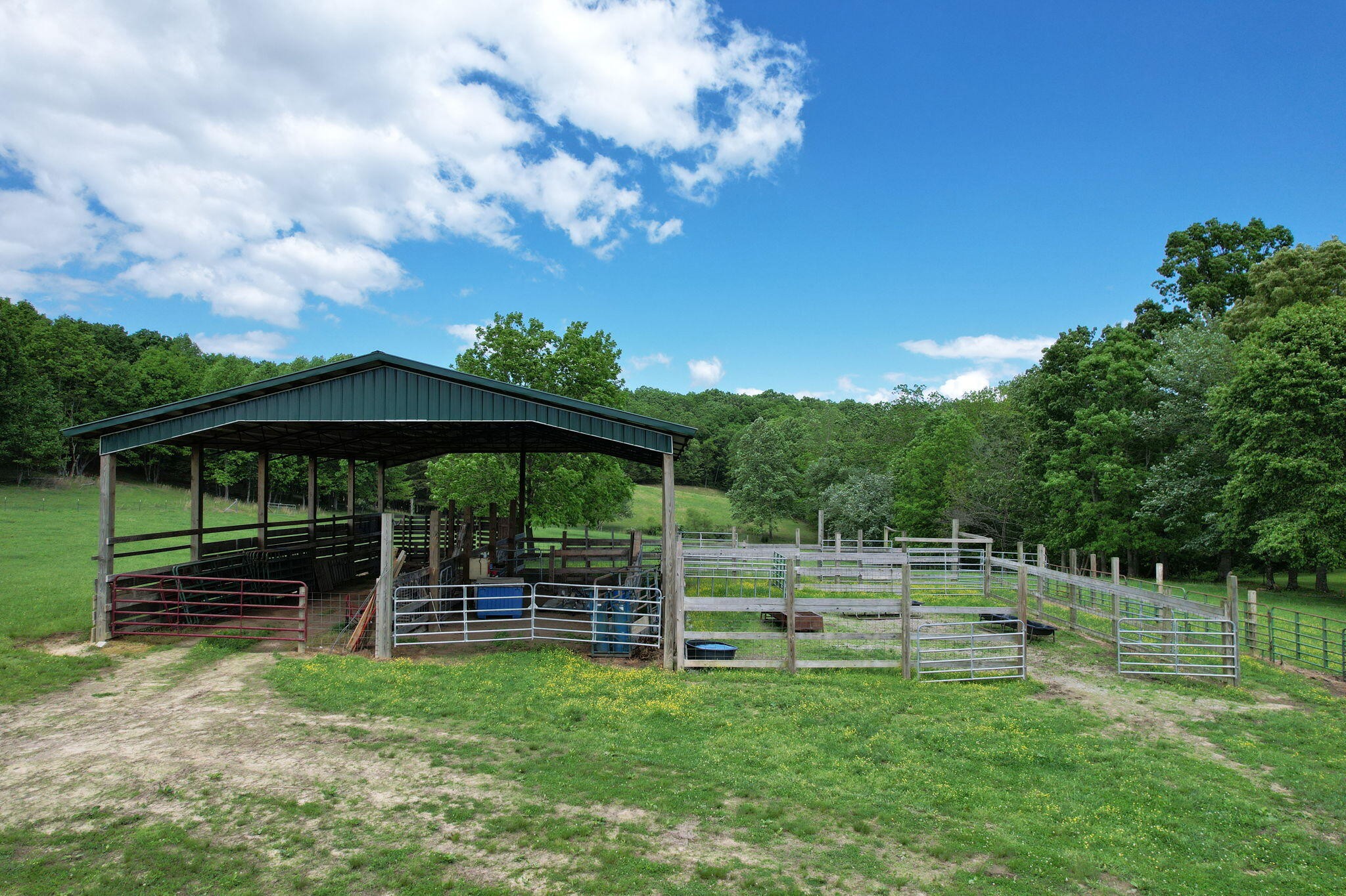 0 Summer City Firetower Road Pikeville, TN 37367 - Photo 7 of 16 Gallery Image 7