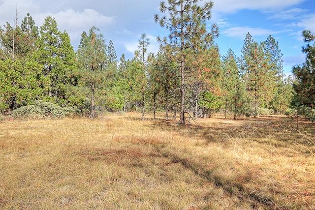 1588 Lone Mountain Road O'Brien, OR 97534 - Photo 15 of 23 Additional Photo