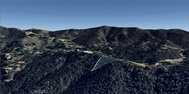 a view of a pathway with a tree