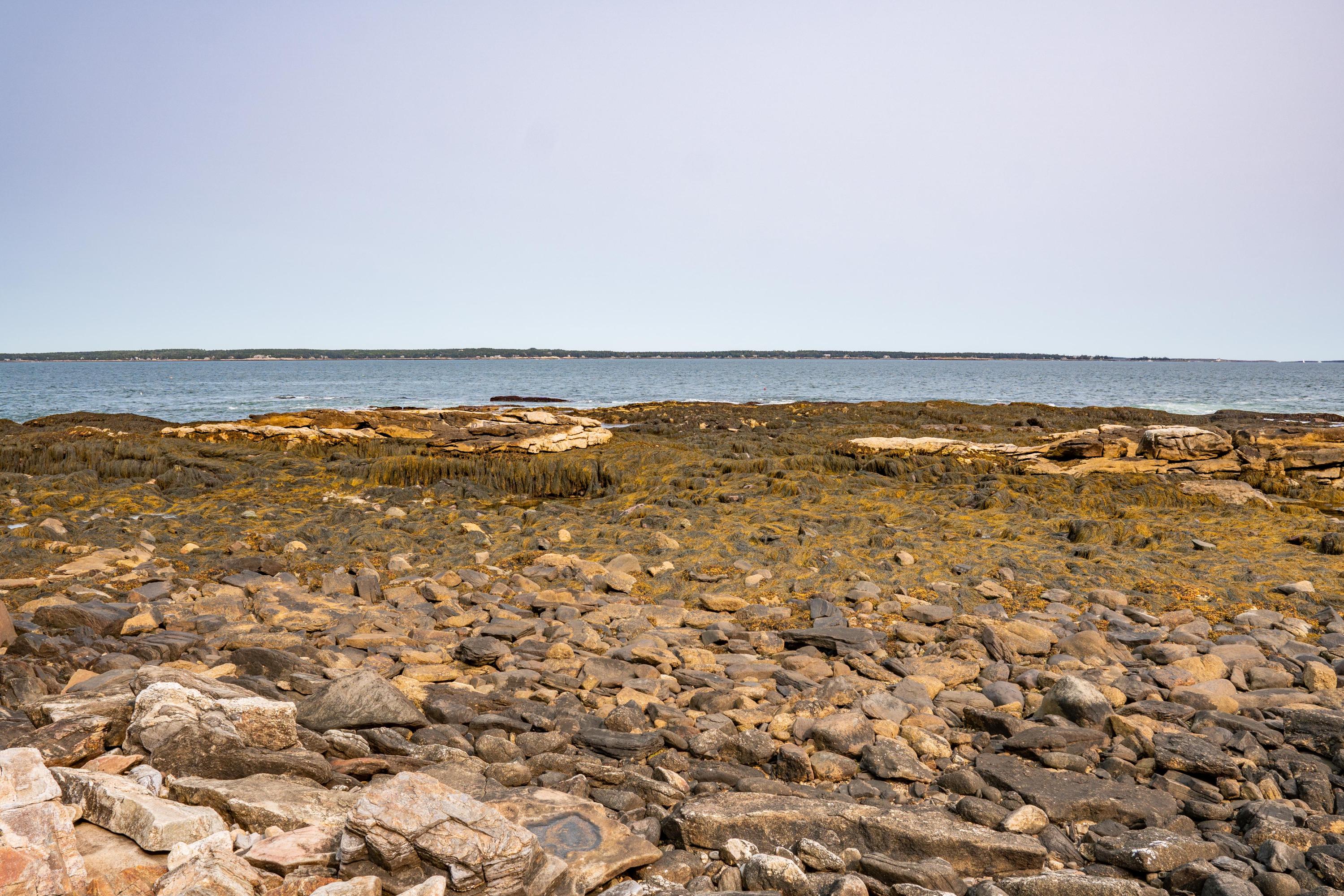 372 Seguinland Road Georgetown, ME 04548 - Photo 63 of 105 372 Seguinland View 012