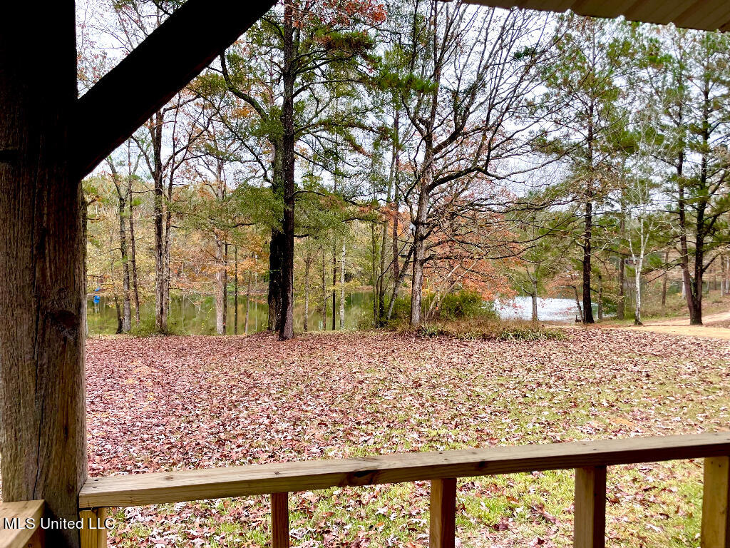 121 Jolisabi Road Mendenhall, MS 39114 - Photo 2 of 25 01