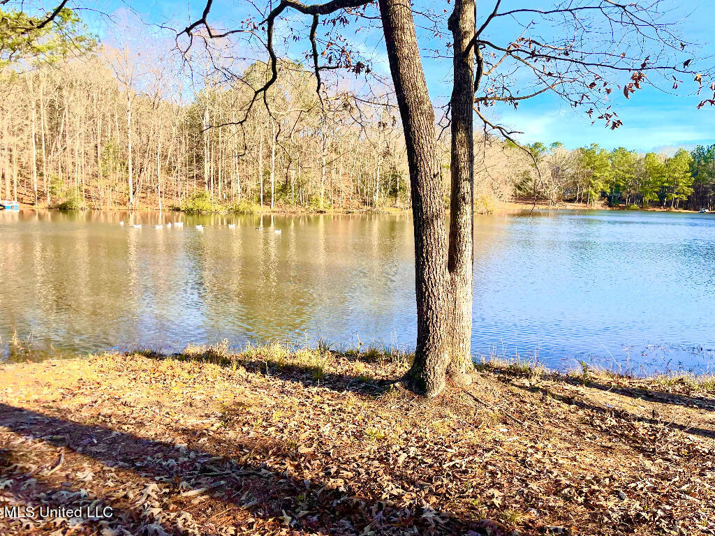 121 Jolisabi Road Mendenhall, MS 39114 - Photo 5 of 25 04